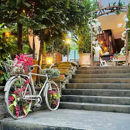 Hotel Andesite Boutique 5*