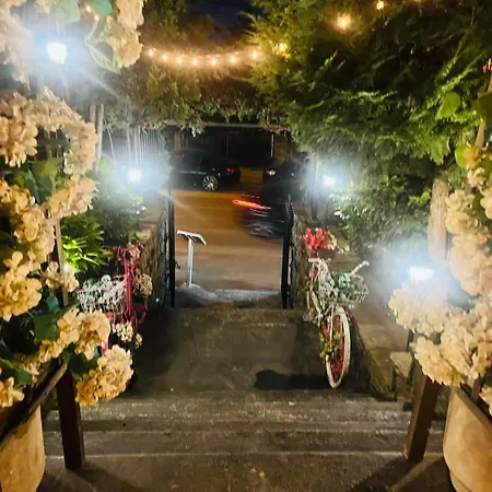 Andesite Boutique מלון 5*