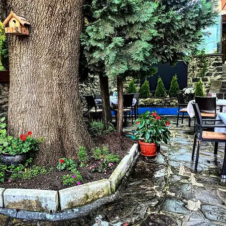Andesite Boutique